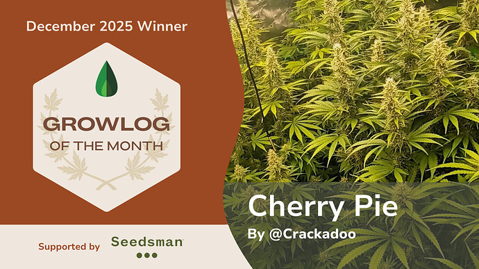 Community Banners - December 2025 winner