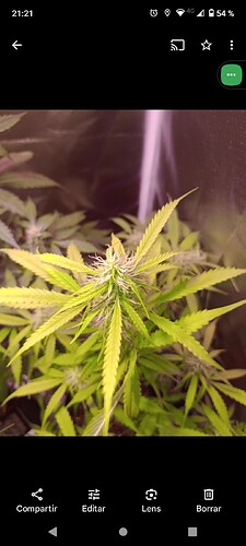 Screenshot_20240519-212115