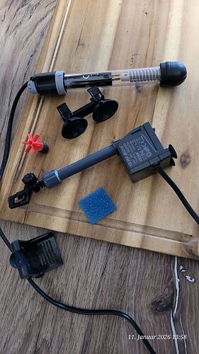 Tag 10 zerlegen und Reinigen 11.1.26