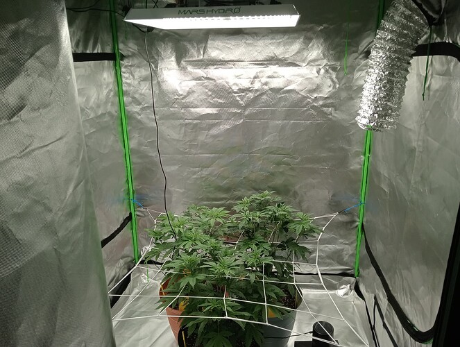 c88a5a7f-ad8a-479c-8dba-e3757d4efc16-1_all_2645