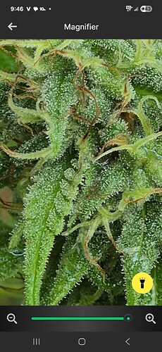 Screenshot_20250924_094628_Flashlight Launcher