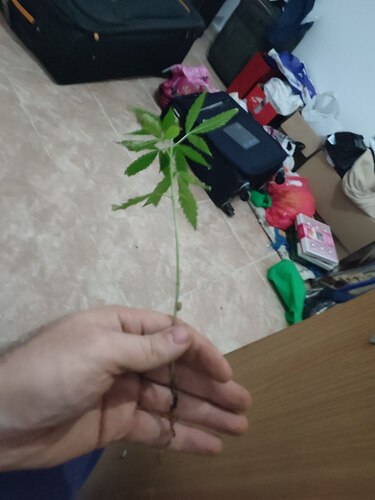 photo_2022-12-30_12-26-36