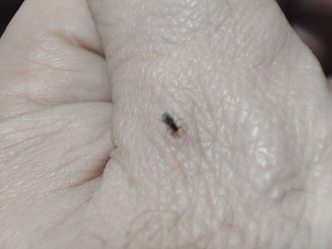 photo_2022-12-30_12-26-24