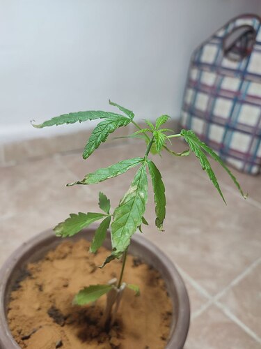 photo_2022-12-30_12-26-15