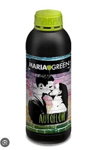 Screenshot_20240229-100011_Chrome