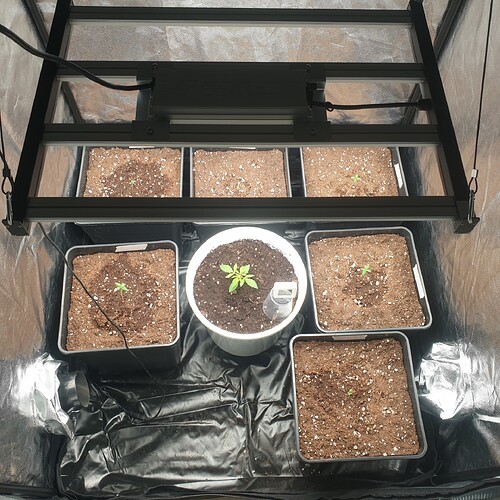 thumbnail_20251126_150038