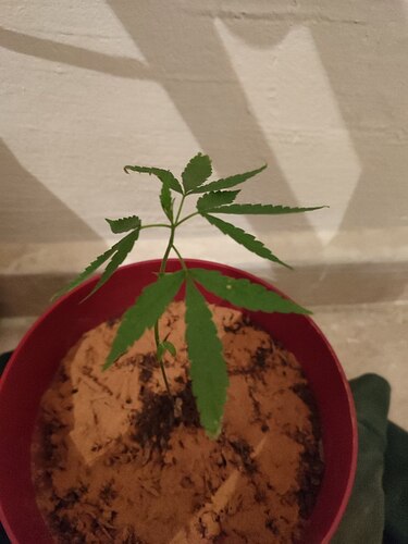 photo_2022-12-31_21-21-18