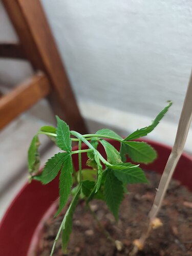 photo_2022-12-30_12-26-46