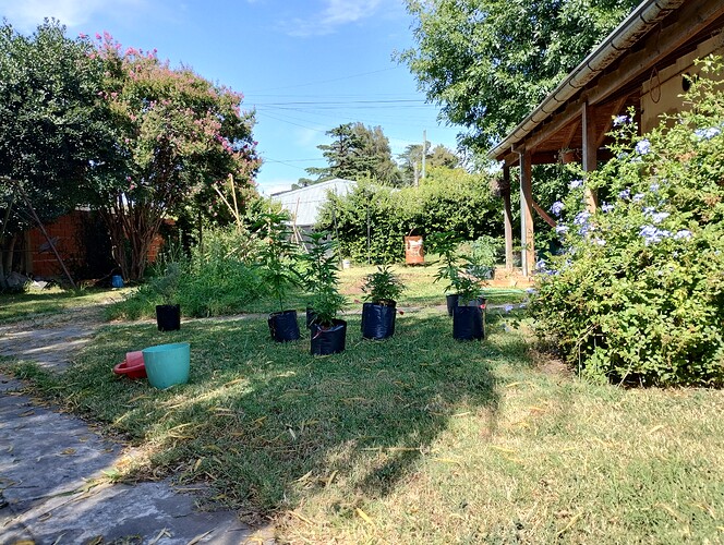 IMG_20260128_102443090_HDR