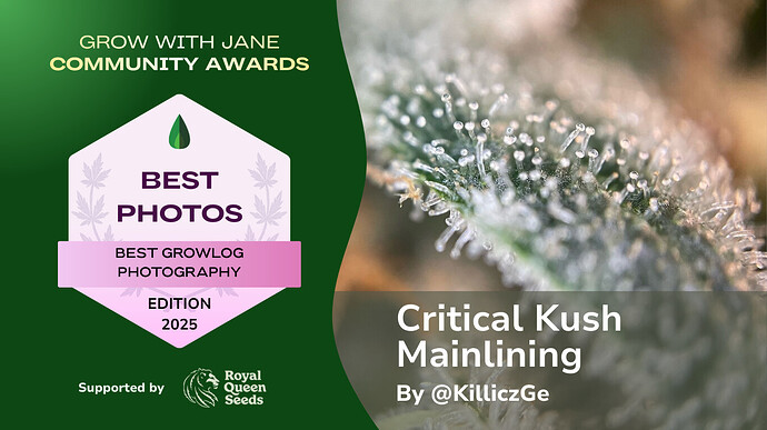 GWJ Community Awards 2025 - Best Photos Winner