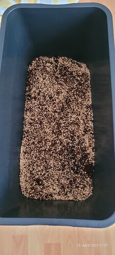 Eine üble Mischung 23.4.25