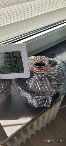 Tag 4 Congo 2 ist nun auch im Topf  27.4.25