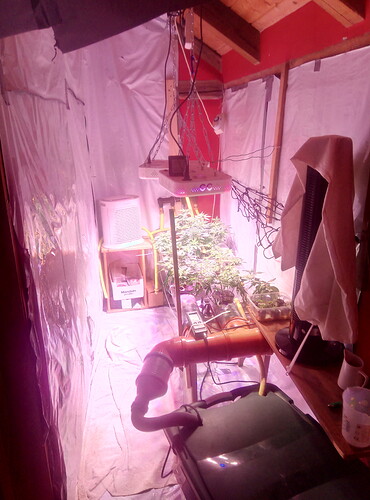 IMG_20220705_142012_0