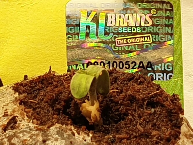 20230424_181451