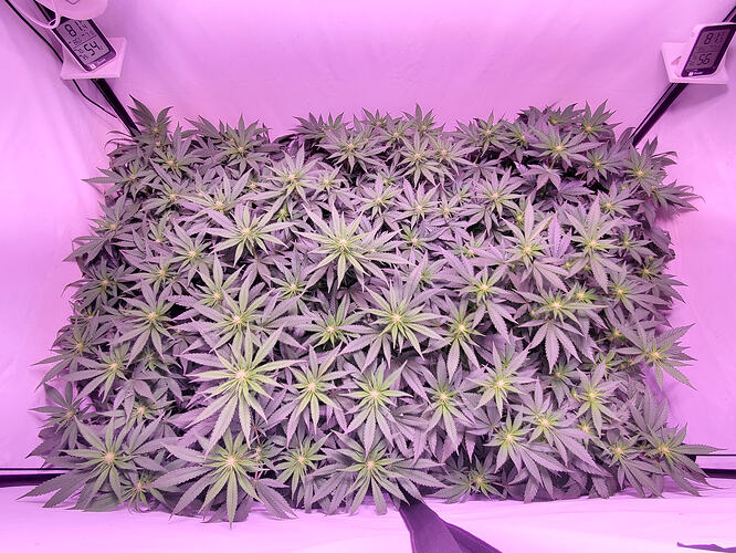 d60596e4-3275-4b96-ac15-aff74b3ce87c-1_all_1073