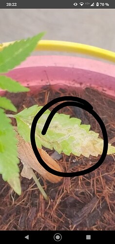 Screenshot_20230606-202307