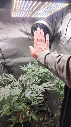 16778073747172588877439271285417