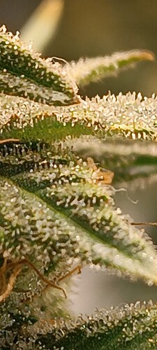 IMG_20240624_150426