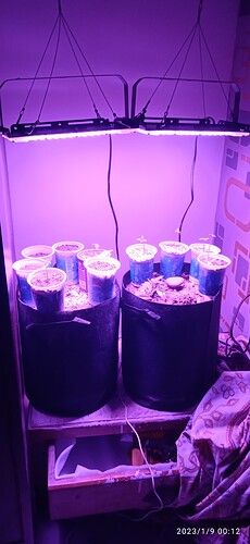 IMG_20230109_001236