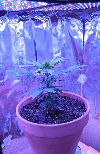 IMG_20231026_130443565~2