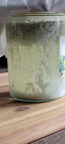 17 LAB selbst hergestellt und heute soweit fertig . Rohen Reis waschen und das Wa - Kopie