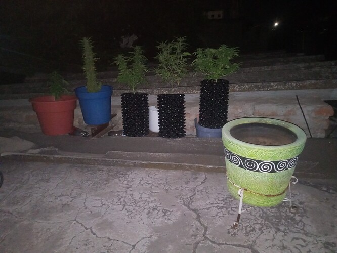 IMG_20240526_213116_767