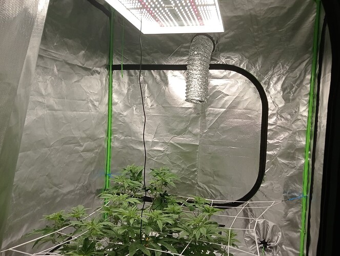 c88a5a7f-ad8a-479c-8dba-e3757d4efc16-1_all_2640