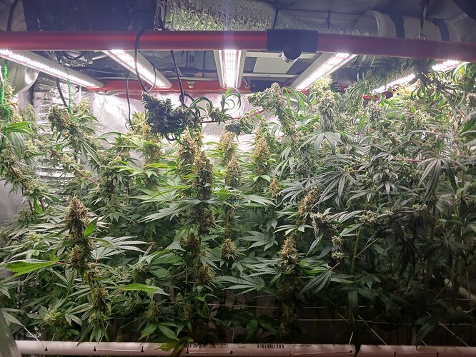 5861dbcb-9202-45cd-a92d-67336c9ddadb