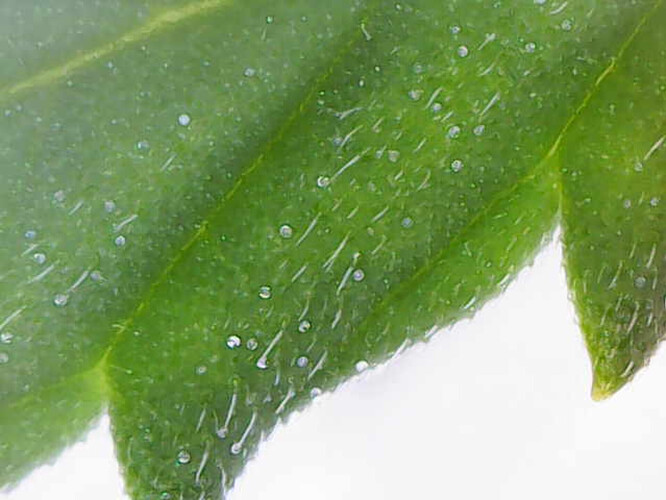 Image_2024-05-28 23_43_12_272