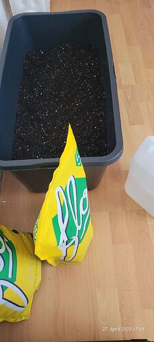 Tag 4 und heute aktivieren durch ein bringen des Feststoff Dünger auf 10 % am 27.4.25