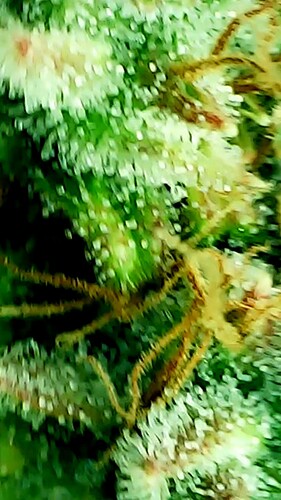 2024_05_28_17_35_40_537_exported_45720