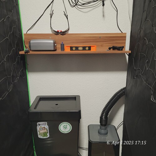 Ein älteres Regal aus dem Keller reaktiviert 6.4.25