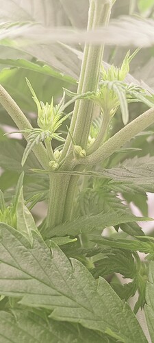 c88a5a7f-ad8a-479c-8dba-e3757d4efc16-1_all_1539