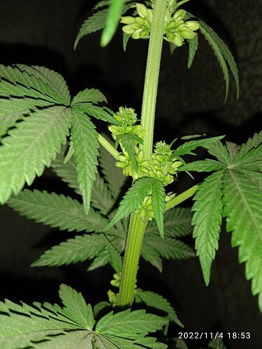 16675699984354241197409987960470