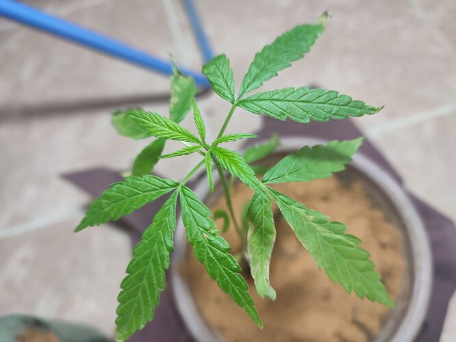 photo_2022-12-30_12-26-21