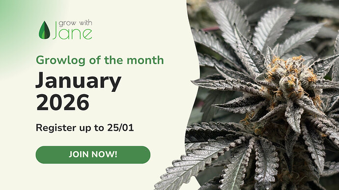 Community Banners - January 2026