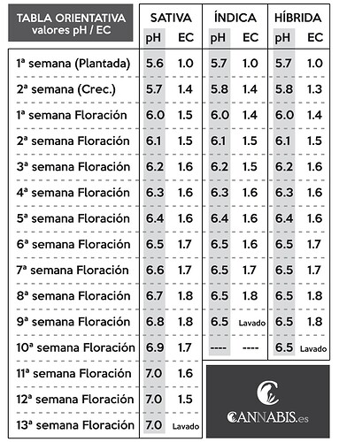 c19e39c04d4243be61e74c4813ba1d86