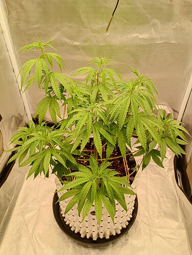 IMG_20260913_192212554_HDR