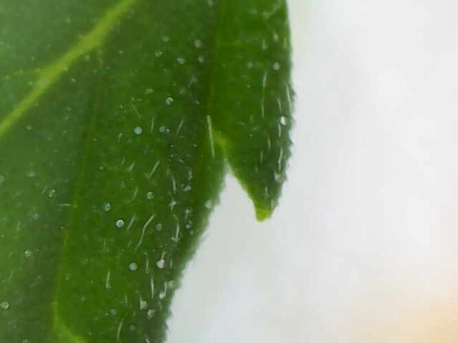 Image_2024-05-28 23_43_27_559