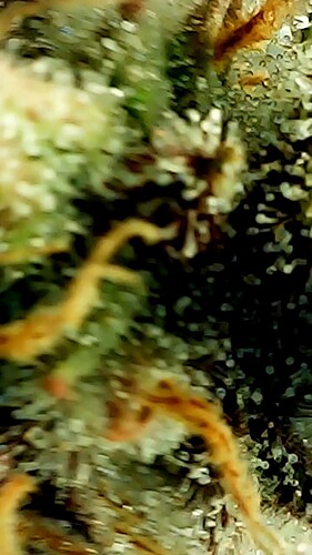 2024_05_28_17_35_40_537_exported_75920