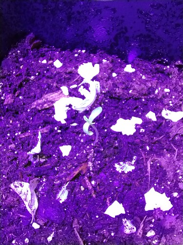 IMG_20230427_160123064