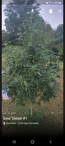 Screenshot_20220718-081846_Jane