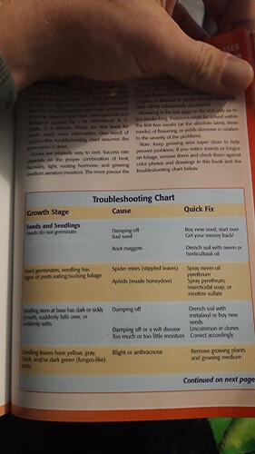 16946467863614900327929971260785