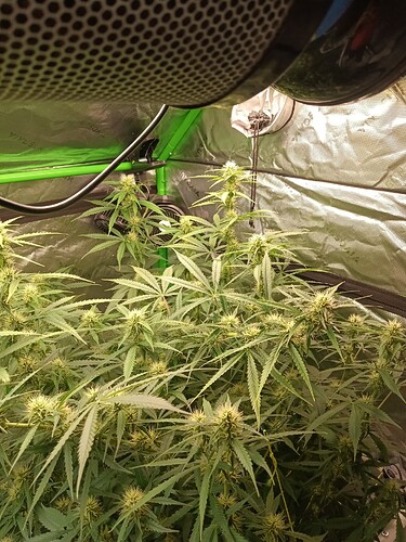 17092026466195487458801363135852