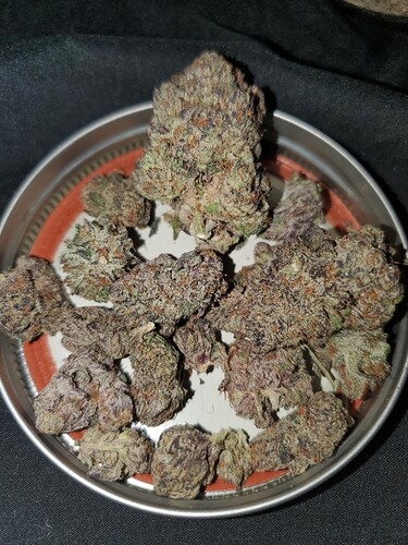 16619115290057368251376490523350