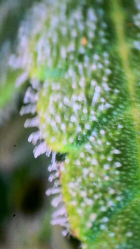 2023_05_24_18_28_51_863