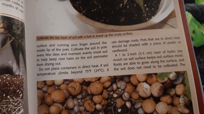 16946439476077728247591542268852