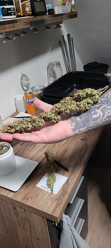 Tag 105 einer schöner wie der andere