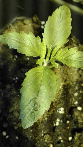 05eea5d31c81a5bbad20c407be509a9b