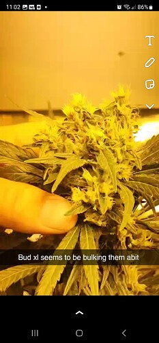 Screenshot_20230629_230233_Snapchat